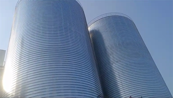 永城2座混凝土高架卷板仓